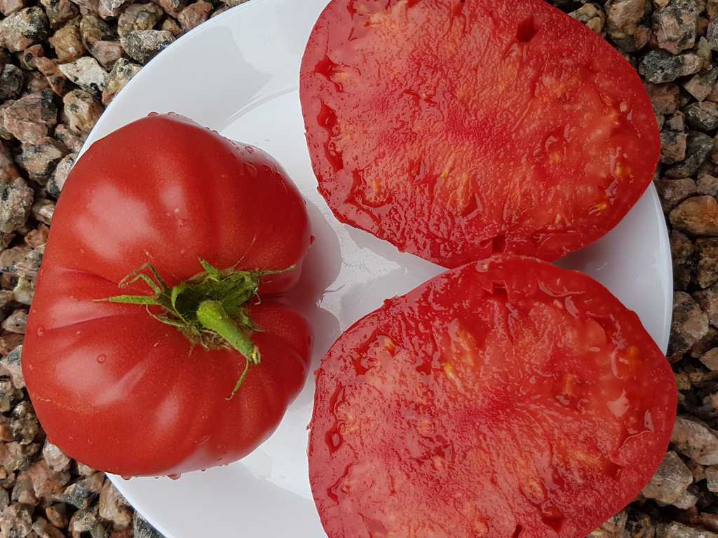 Minusinskij Urozajnyj 